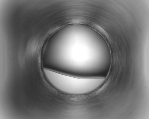 X0000089680938200706210811