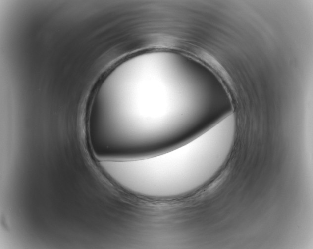 X0000089680939200706210811