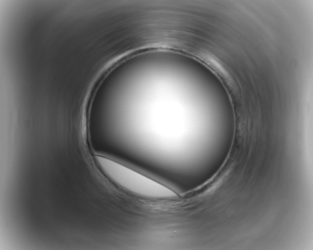 X0000089680940200706210811