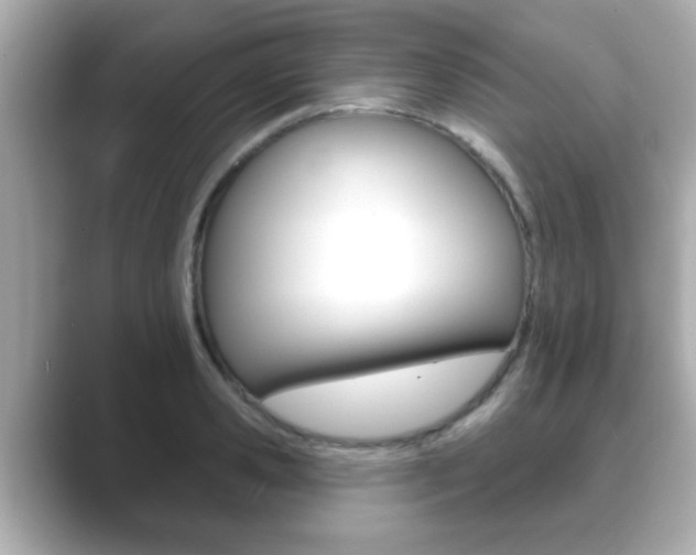 X0000089680941200706210811