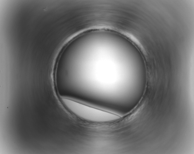 X0000089680943200706210811