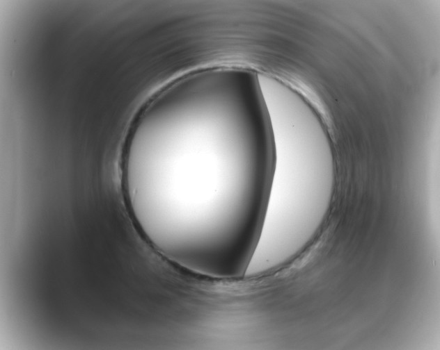 X0000089680944200706210811