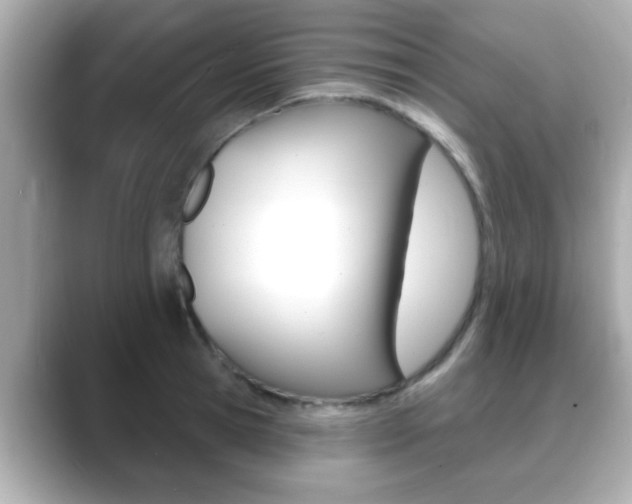 X0000089680945200706210811
