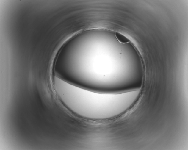 X0000089680949200706210811