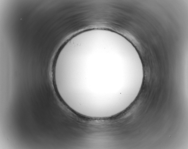 X0000089680950200706210811