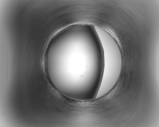 X0000089680952200706210811