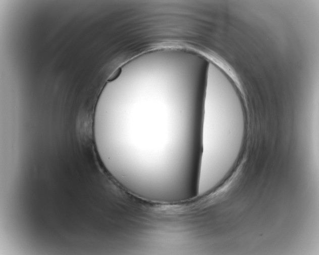 X0000089680953200706210811