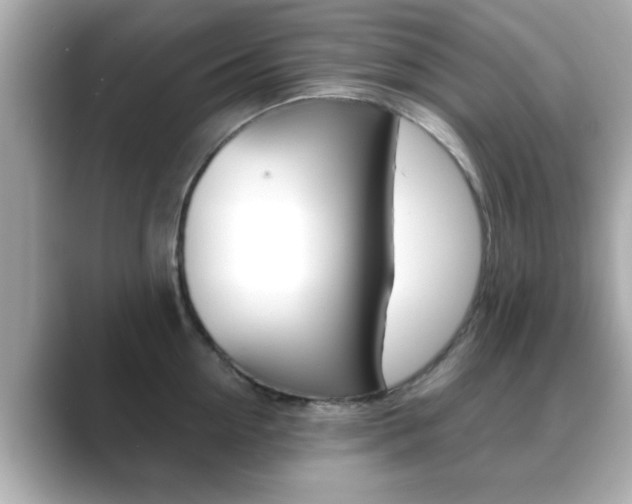 X0000089680954200706210811
