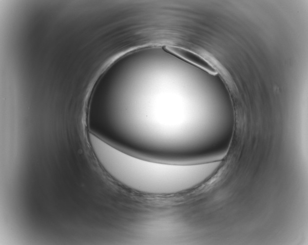 X0000089680956200706210811