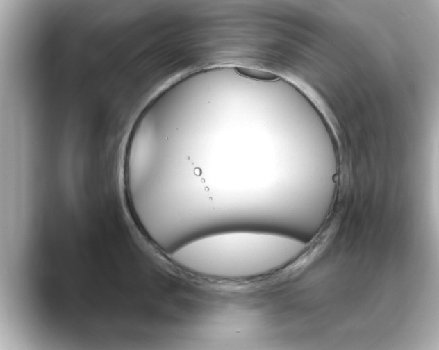 X0000089680957200706210811
