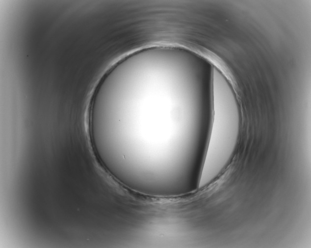 X0000089680958200706210811