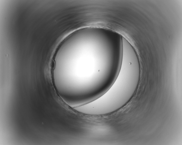 X0000089680960200706210811