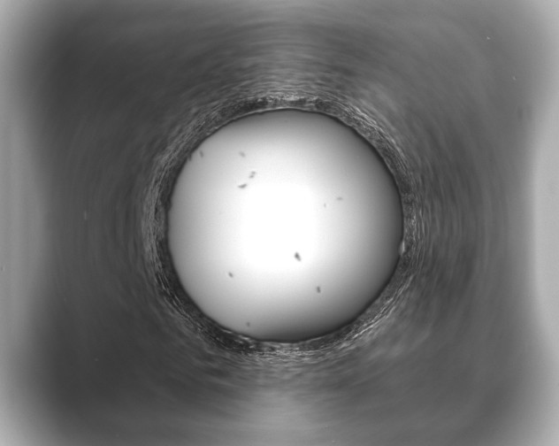 X0000089680961200706210811