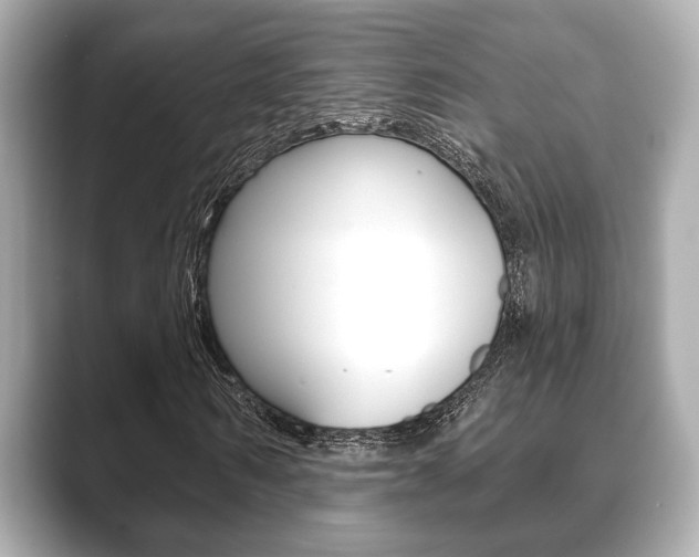 X0000089680962200706210811