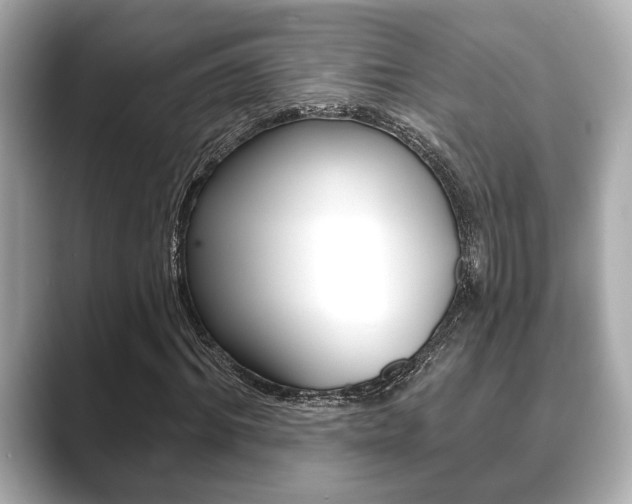 X0000089680964200706210811