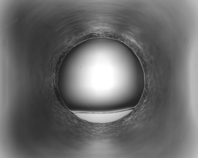 X0000089680965200706210811