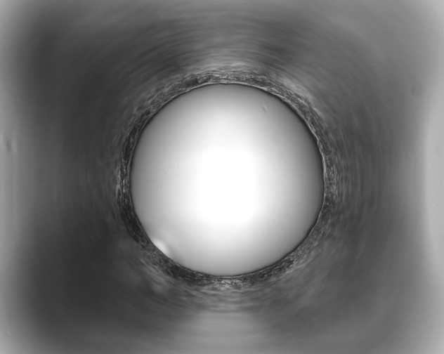 X0000089680966200706210811