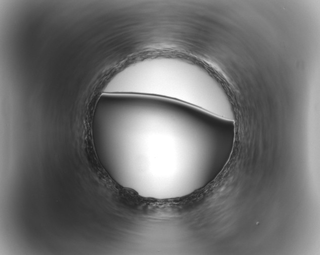 X0000089680967200706210811