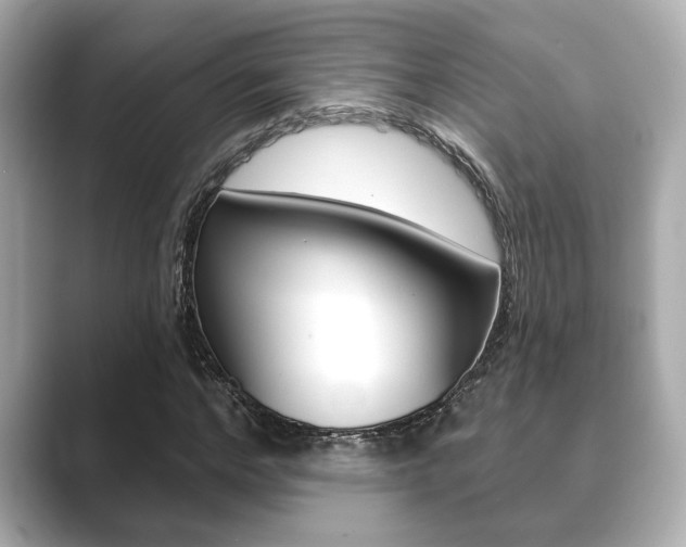 X0000089680968200706210811