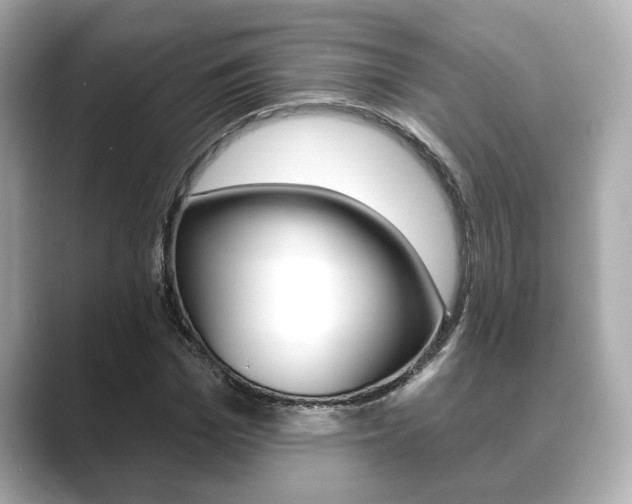 X0000089680969200706210811