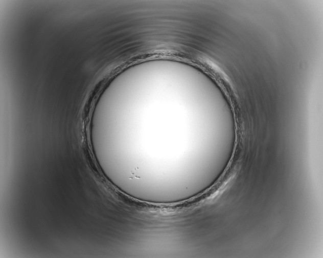 X0000089680970200706210811