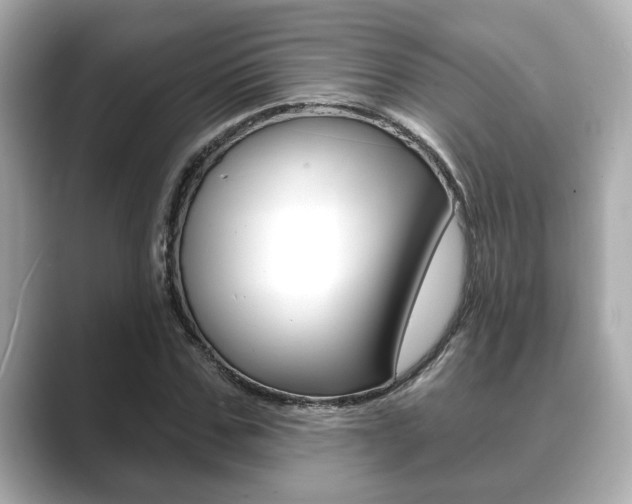 X0000089680971200706210811