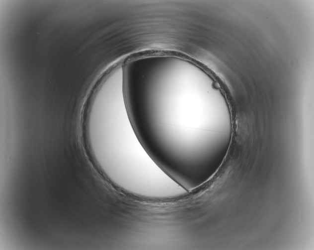 X0000089680972200706210811