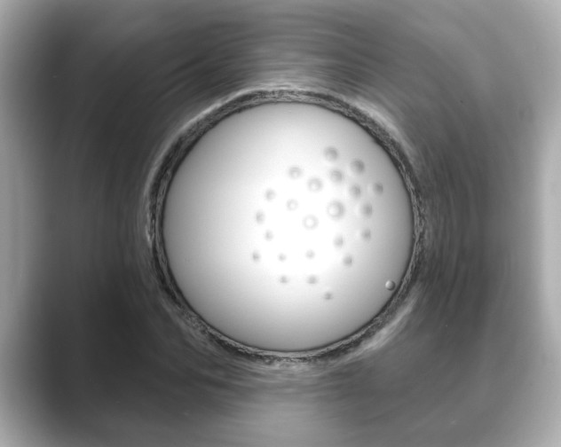 X0000089680974200706210811