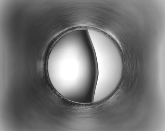 X0000089680975200706210811
