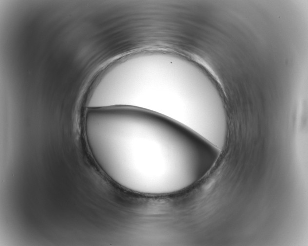 X0000089680979200706210810