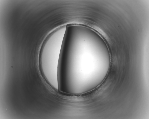 X0000089680980200706210810