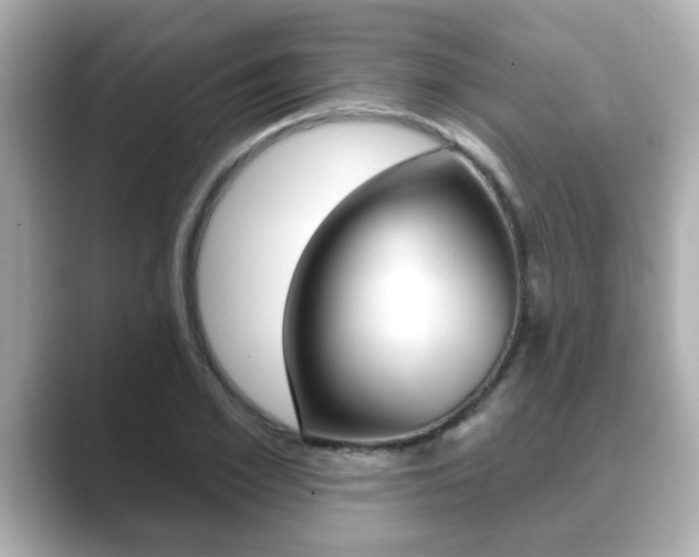 X0000089680981200706210810