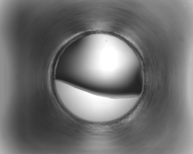 X0000089680983200706210810