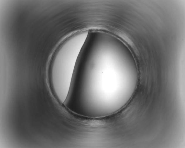 X0000089680984200706210810