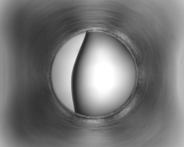 X0000089680985200706210810