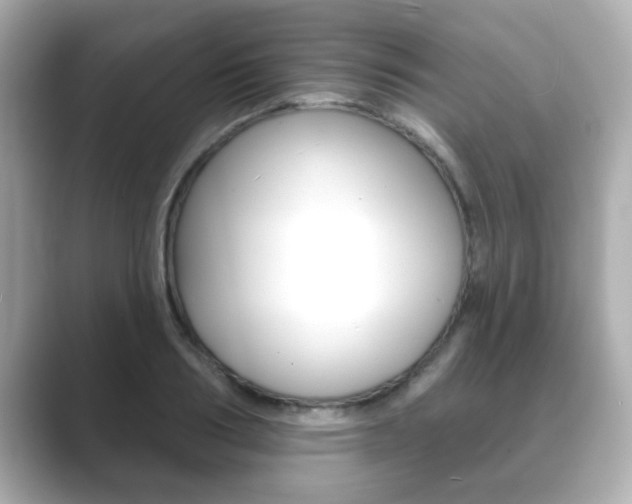 X0000089680986200706210810