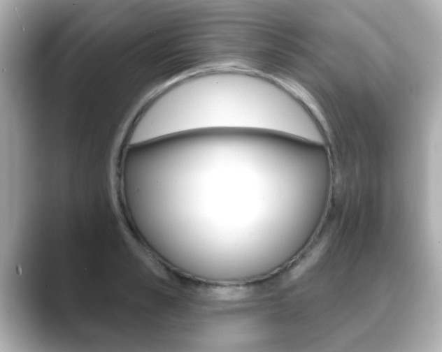 X0000089680989200706210810