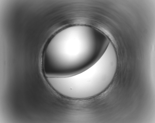 X0000089680992200706210810