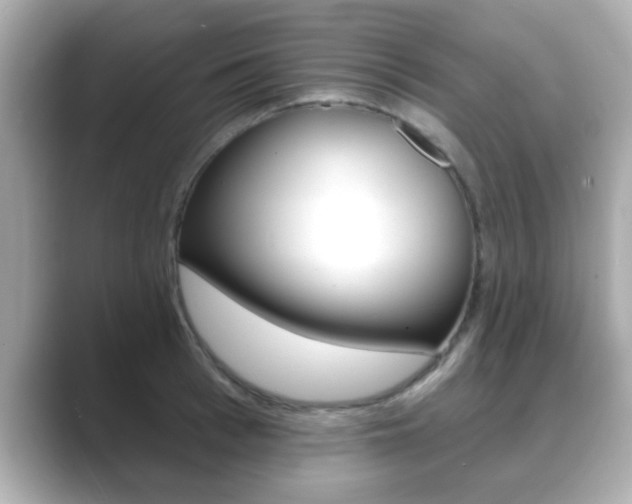X0000089680993200706210810