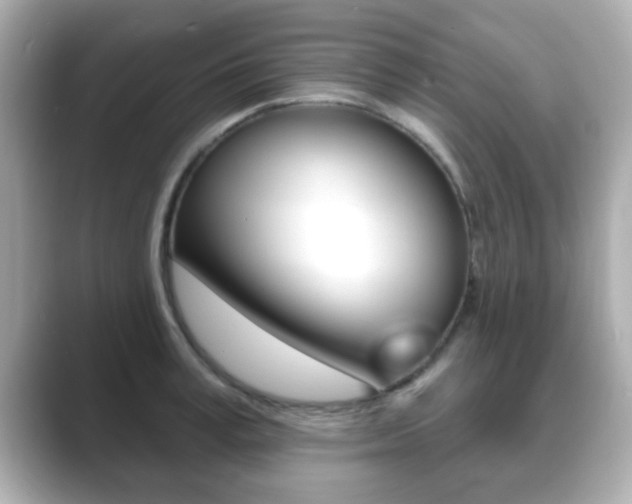 X0000089680995200706210810