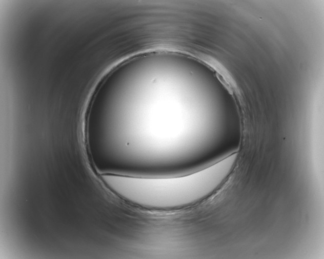 X0000089680996200706210810