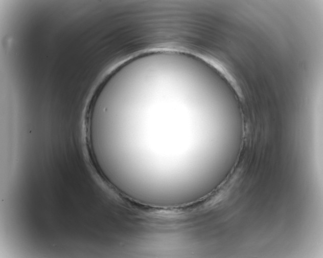 X0000089680998200706210810