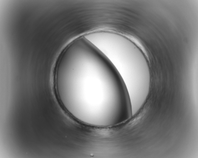 X0000089680999200706210810