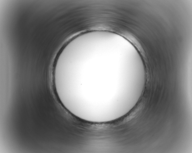 X0000089681000200706210810