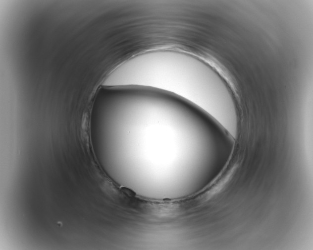 X0000089681001200706210810