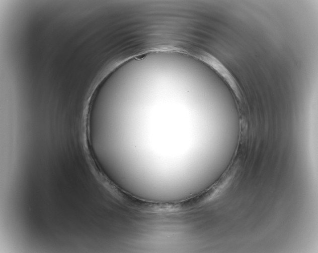 X0000089681002200706210810