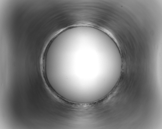 X0000089681003200706210810