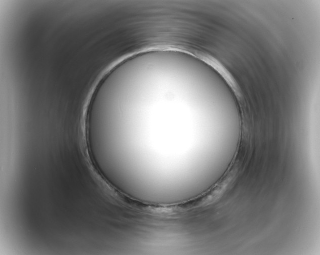 X0000089681004200706210810