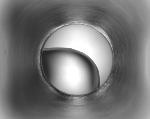 X0000089681005200706210810