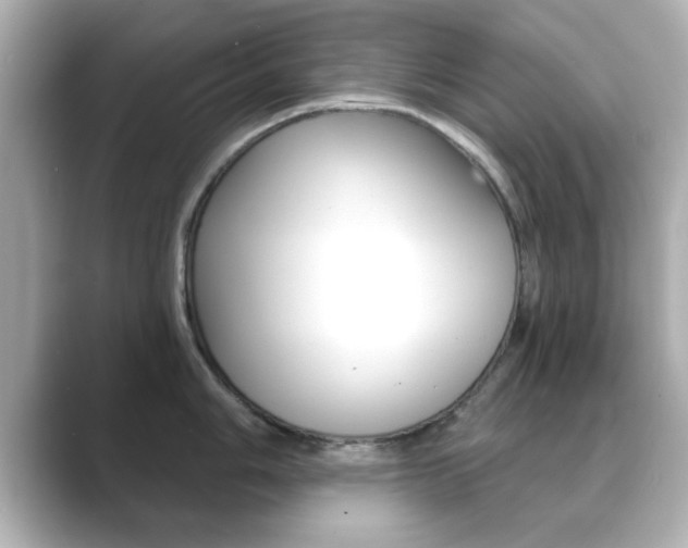 X0000089681006200706210810